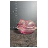 Pink cranberry sleeping cat on a nest covered dish