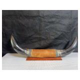 Western Decor Mounted Bull Horns