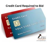 You must enter a credit card to register to bid.