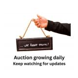 Auction Growing Daily - More Items Being Added