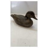 Wood Duck
