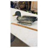 Plastic Duck Decoy