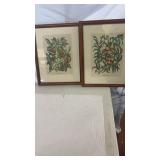 Pair of Botanical Prints