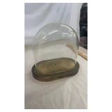 Unusual Glass Dome Display