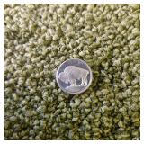 One Gram .999 Silver Round