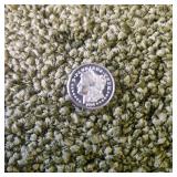 One Gram .999 Silver Round