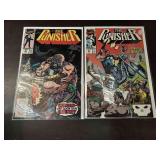 (2) Punisher Comics
