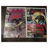 (2) Punisher Comics