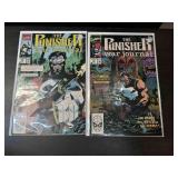 (2) Punisher Comics