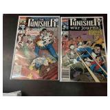 (2) Punisher Comics