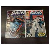 (2) Punisher Comics