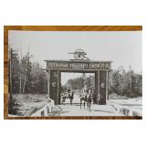 Vintage Postcard (B1)