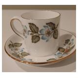 Stafford Shire Teacup/Saucer (B19)