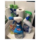 Assorted Bathroom Cleaning Supplies