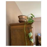 Brass Pot with Plant