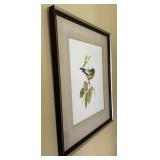 J Carson 1973 Original wildlife print