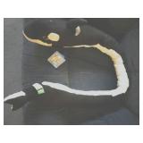 Noodle Dos Stuffed Orca