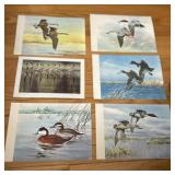 Vintage 1966 Rudy Duck Prints