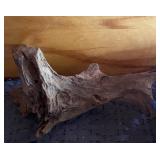 Driftwood for reptile enclosure