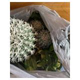 Bag of Aquariam Decor