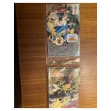 Fantastic Four & Ghost Rider/Wolverine/Punisher