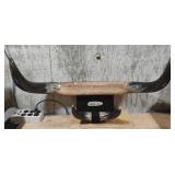 Mounted bull horns