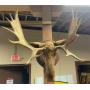Huge Sportsman Hunting & Fishing Collectible Auction Day 1