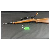 Ruger model 10/22 carbine .22 LR