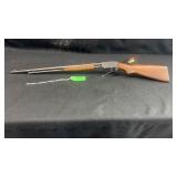 Savage model 25 .22 short, long and LR Pump