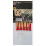 257 WBY Magnum 100gr 19 rounds