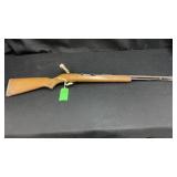 Savage 587 semi auto  22LR B665381