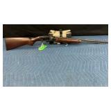 Remington Speedmaster model 552 22 S L or LR.
