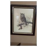 Two owl framed prints