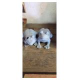 Twist board, yard decor and misc