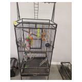 Bird Cage