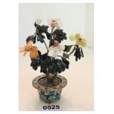 Jade Tree