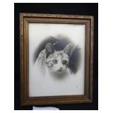 Vintage Kitten Photograph