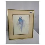 Ren-Wil Parrot Print