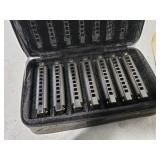 Hohner Piedmont Blues Harmonica Set