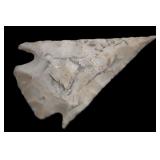 2 5/16' Castroville Arrowhead Found in Texas.
