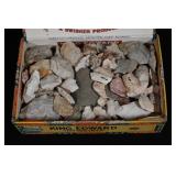 Cigar Box Full of Damaged Arrowheads Found in Fult