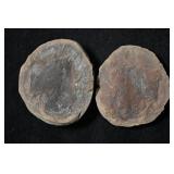 CyclopterisTrichononoides 2 7/8' Mazon Creek Split