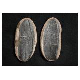3 1/2' Mazon Creek Leaf Fossil Split Nodule Pair.