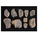 10 Mazon Creek Fossils 300 Million Years Old.