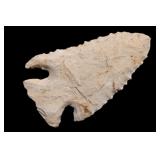 2 1/2' Pine Tree Found in Kentucky/Tennessee Ex: W