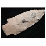 3 1/2' Benton Arrowhead Found in Alabama Ex: Walt