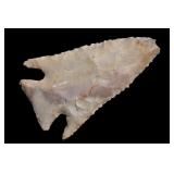 2 1/8' Pine Tree Found in Kentucky/Tennessee Ex: W