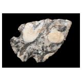 1 7/16' Colorful Helton Arrowhead Found in Pettis