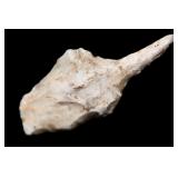 2 1/4' Drill Found in Saline Co. Missouri Ex: Ray