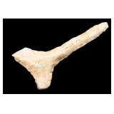 1 7/8' Drill Found in Benton Co. Missouri Ryan Kee